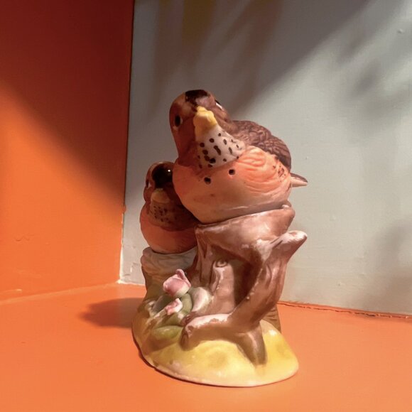 Nesting Robins Salt & Pepper Shaker | Birds on Branch | Vintage Country Kitchen - Picture 3 of 11